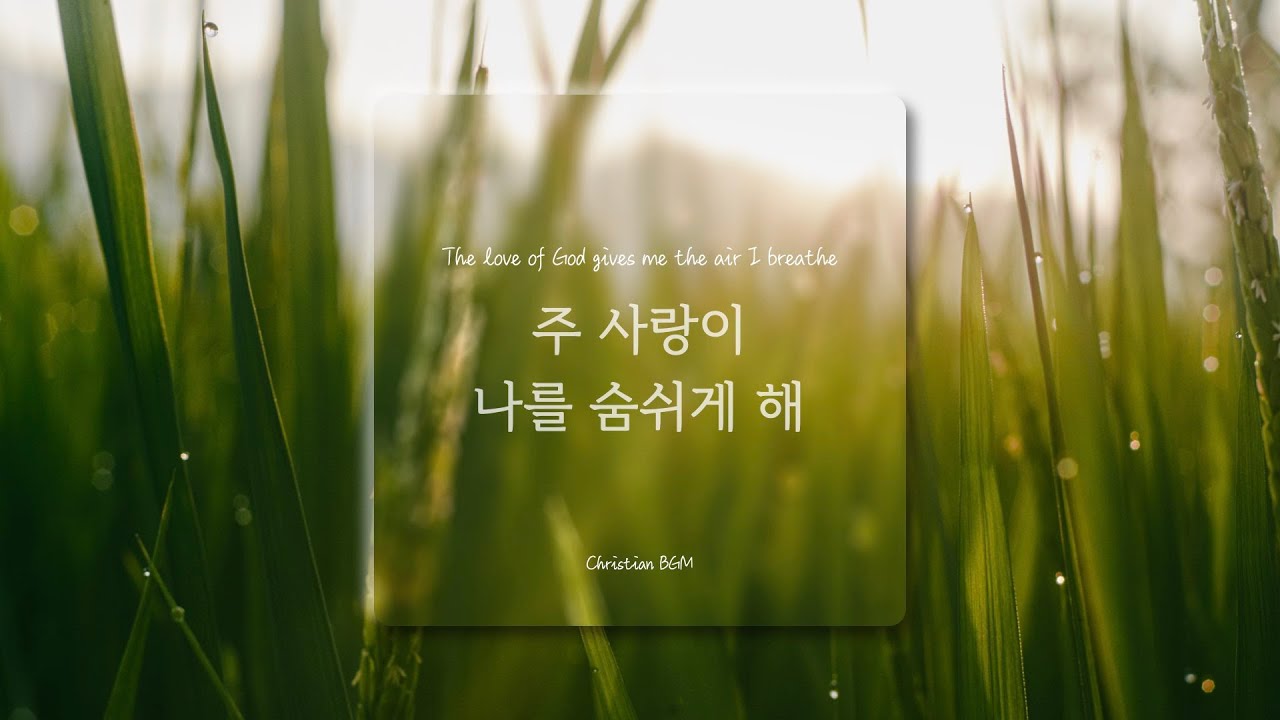 [1시간] 주 사랑이 나를 숨쉬게 해 / The love of God gives me the air I breathe / CCM 피아노 연주🎹