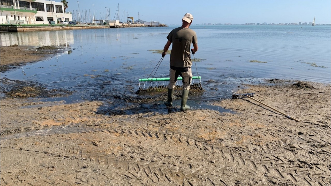 OVA DE LA PLAYA (no hay playa)