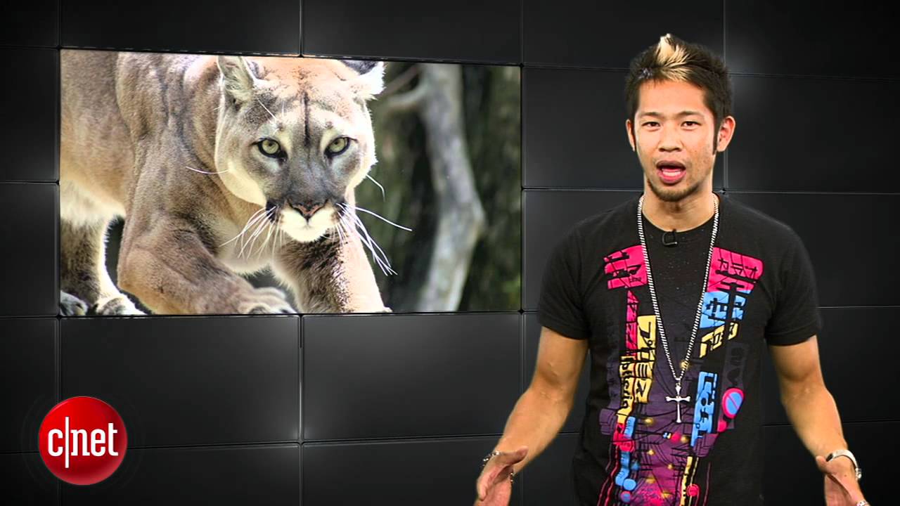 Apple Byte - Your iPhone won't kill you
