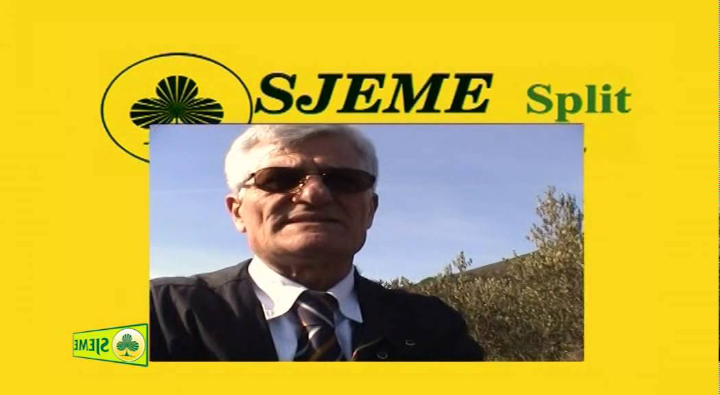 Maslina Rezidba Promo film Sjeme