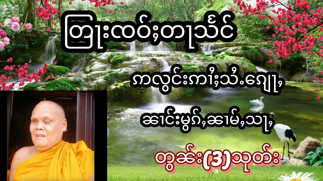 #တြႃးၸဝ်ႈတႃသႅင်