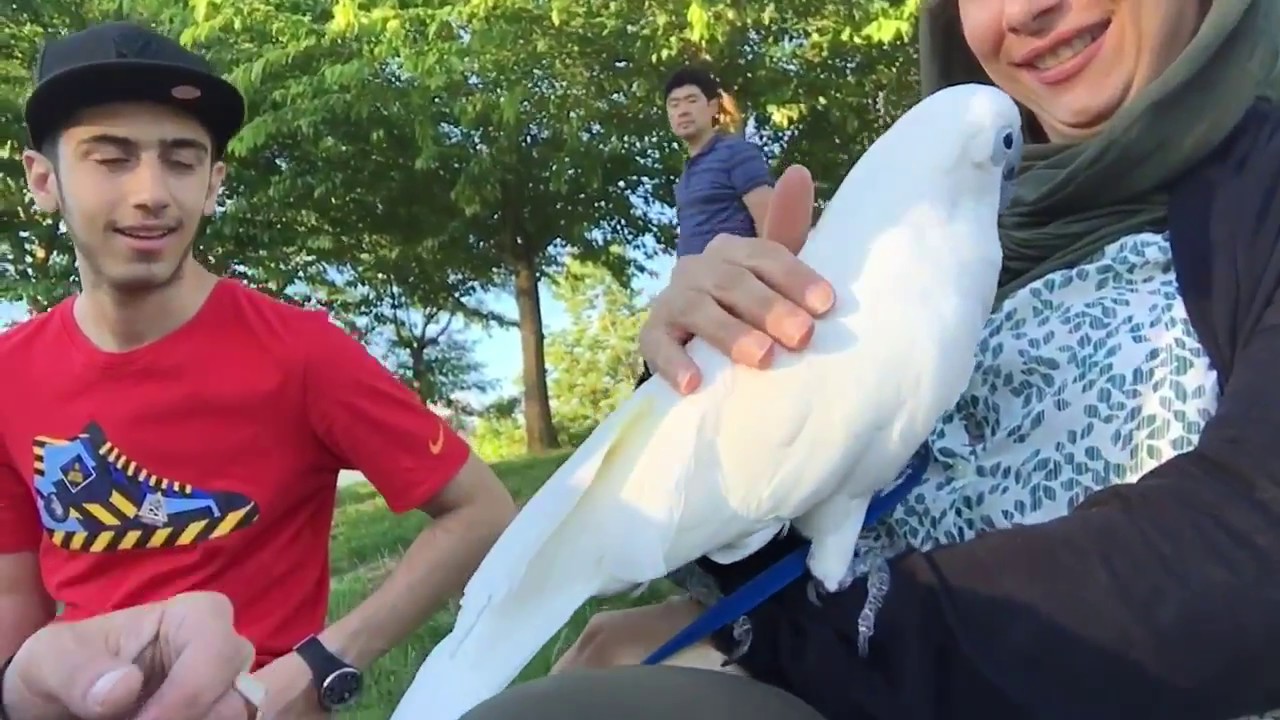 My cockatoo Joseph & my sister❤️❤️❤️😘✌️✌️✌️