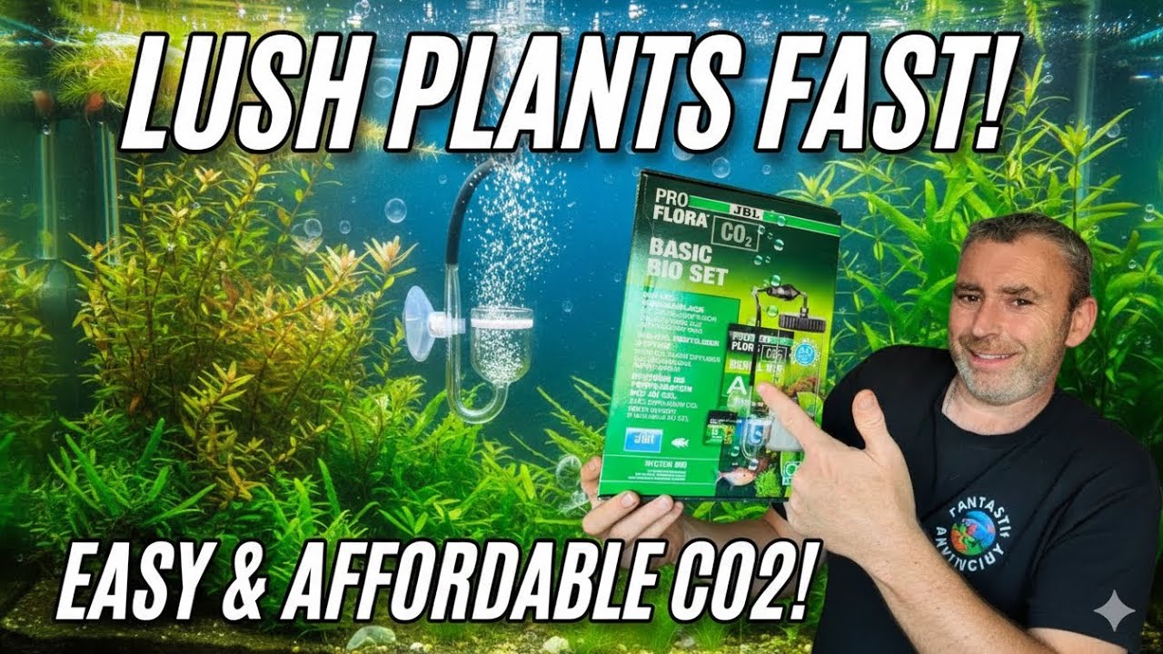 Easy CO₂ Setup! JBL ProFlora Basic Kit Step-by-Step Guide