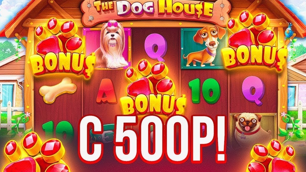 ДА ! C 500Р ДО 50.000Р В DOG HOUSE DOG OR ALIVE / ДОГ ХАУС ПОСТАВИЛ ЗАНОС НЕДЕЛИ