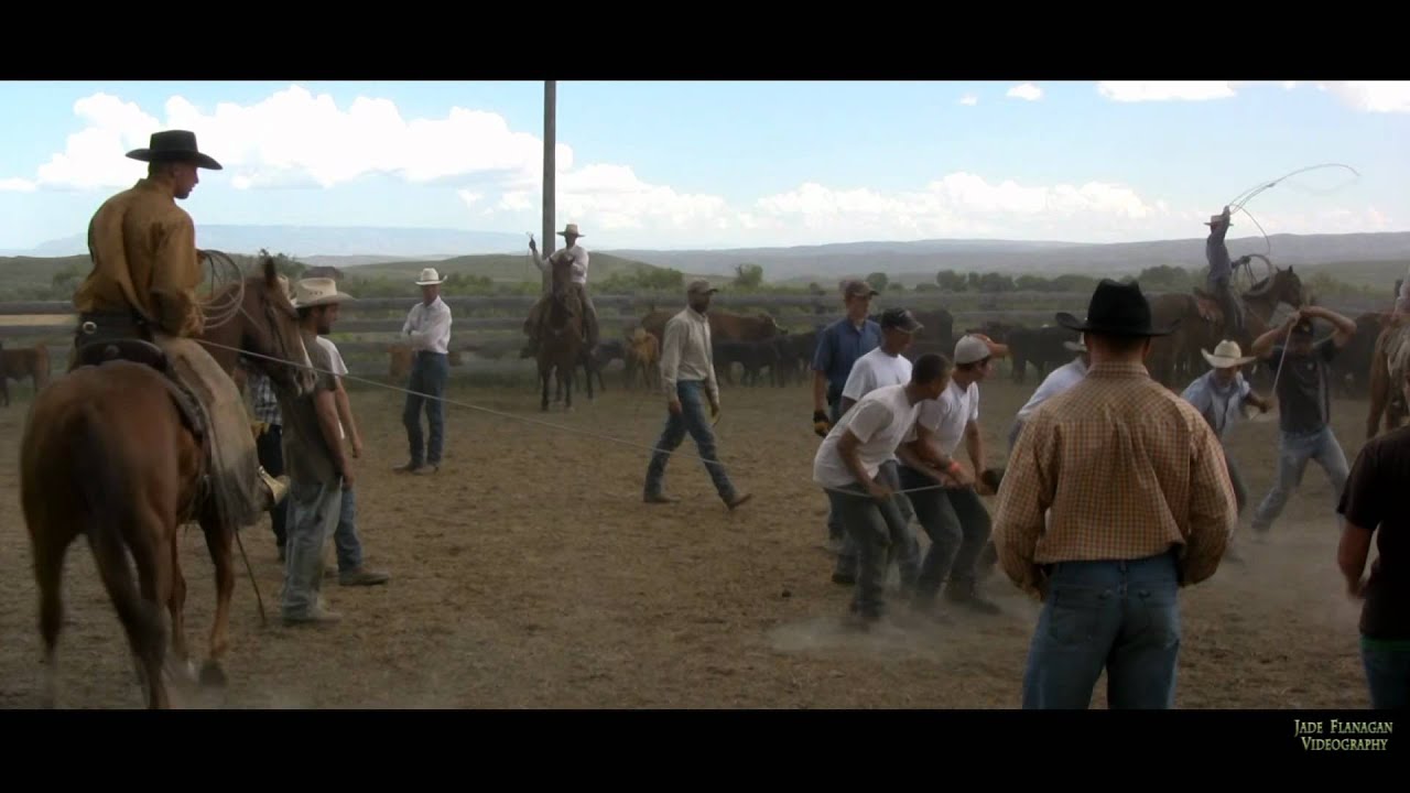 Cattle Branding