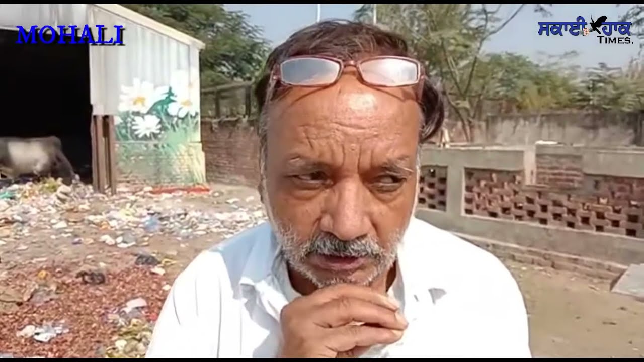 #MOHALI #PHASE 6 #GARBAGE PROBLEM ਕੂੜੇਦਾਨ ਦੇ ਬਾਹਰ ਖਿਲੱਰੀ ਗੰਦਗੀ ਕਾਰਨ ਪ੍ਰਦੂਸ਼ਿਤ ਹੁੰਦਾ ਹੈ ਵਾਤਾਵਰਨ