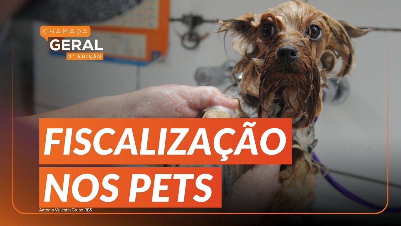 BANHO E TOSA com GRAVAÇÃO obrigatória: veja o que diz a NOVA LEI de Porto Alegre | Chamada Geral 1