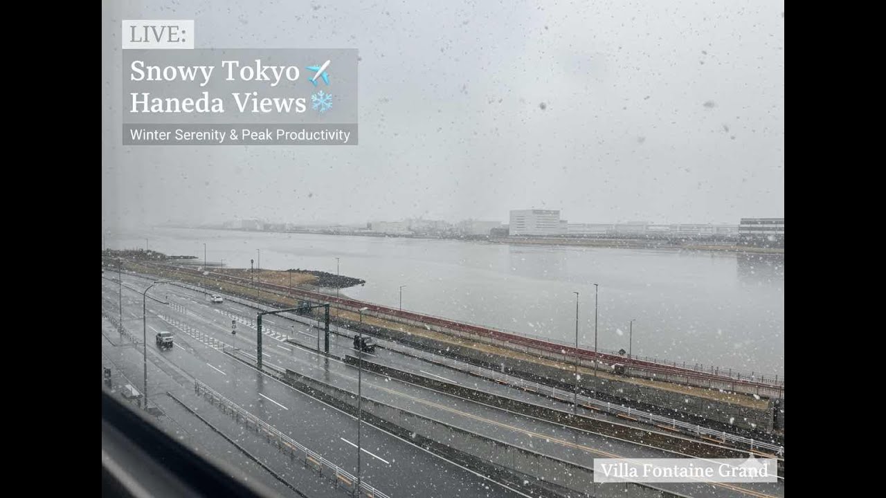 🔴 LIVE: Snowy Tokyo Haneda Views – Winter Serenity & Peak Productivity ❄️