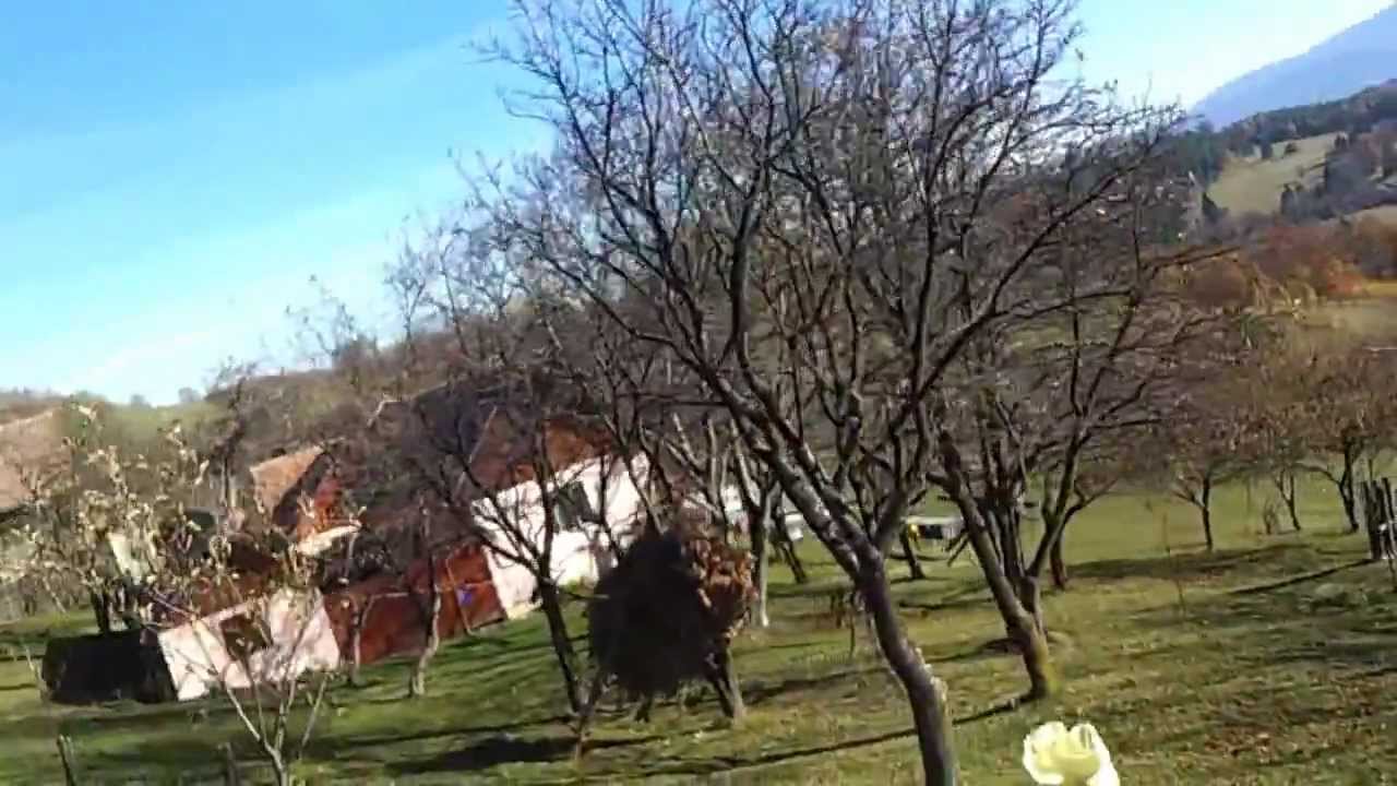 Plimbare cu Troscoleta la Pensiunea Poiana Marului.mp4