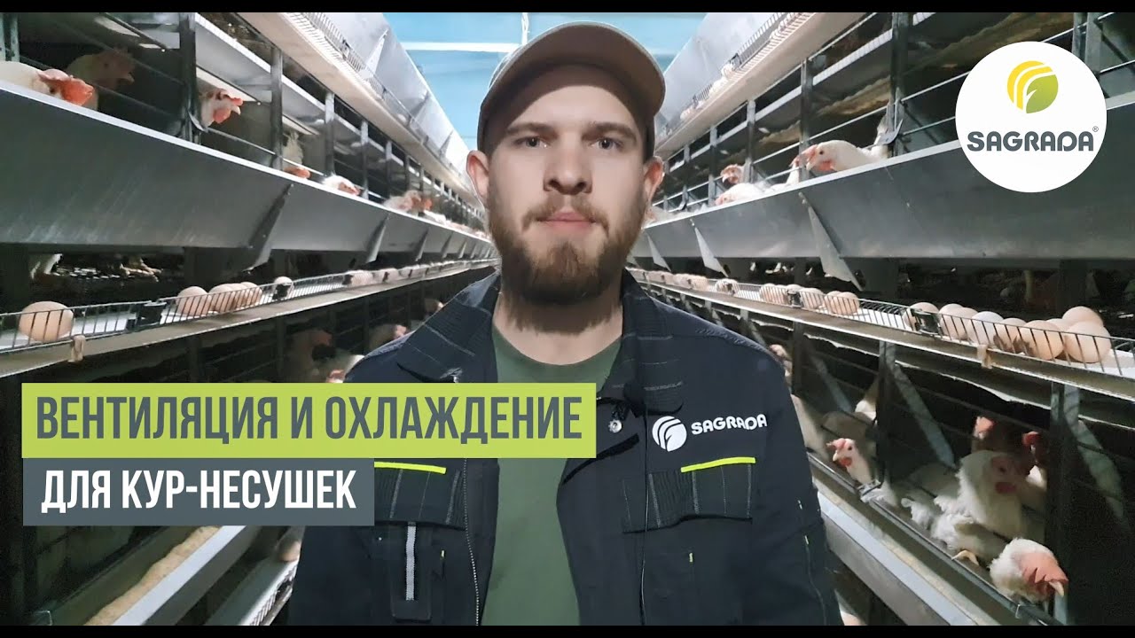 Вентиляция и охлаждение для кур-несушек с клеточным содержанием | Оборудование SAGRADA