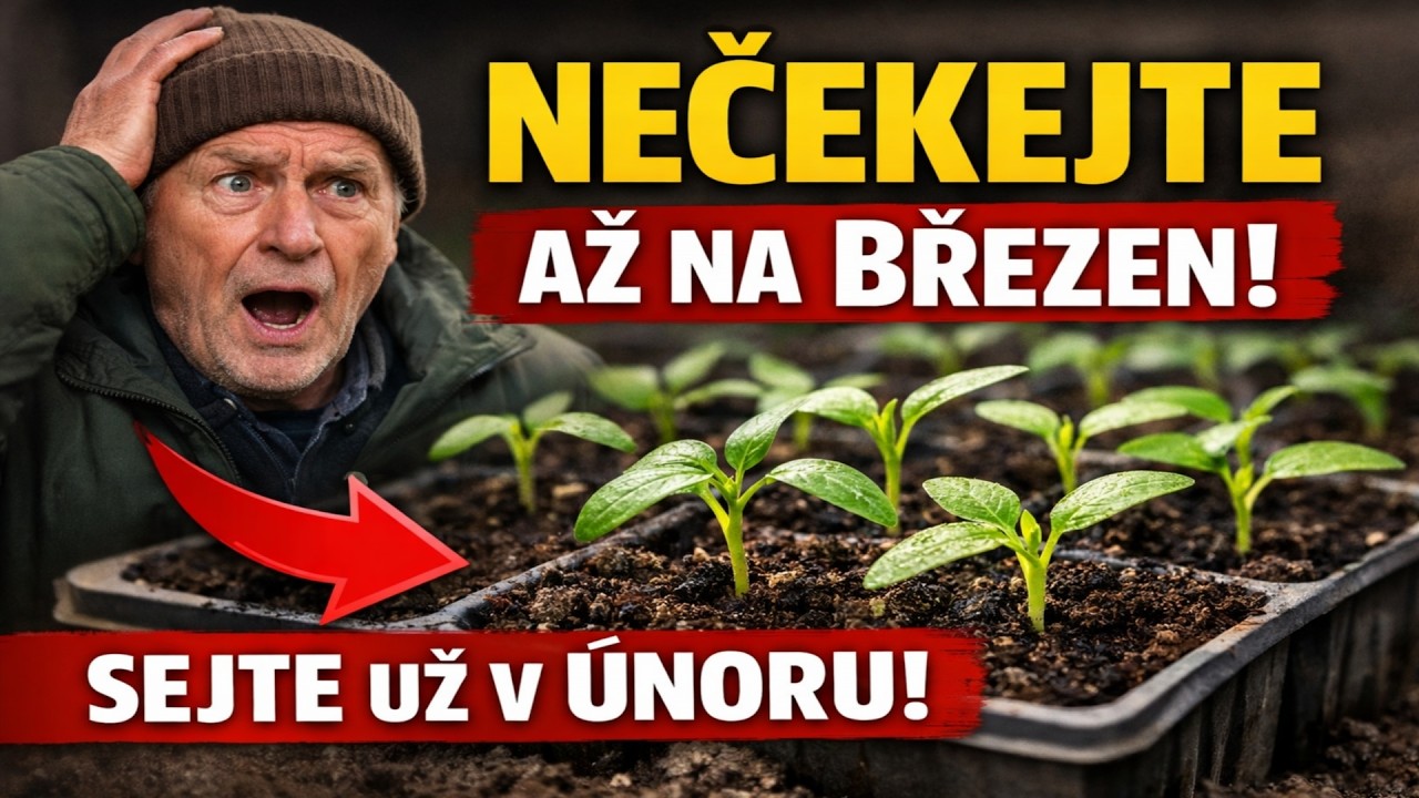 HLAVNÍ CHYBA ZAHRADNÍKŮ JE ČEKAT AŽ DO BŘEZNA! 20 rostlin, které musíte vysít už v ÚNORU.