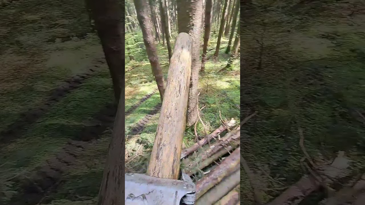 Holzaufarbeiten mit Alstor 840 pro/Hypro FG45/HACKGUT.