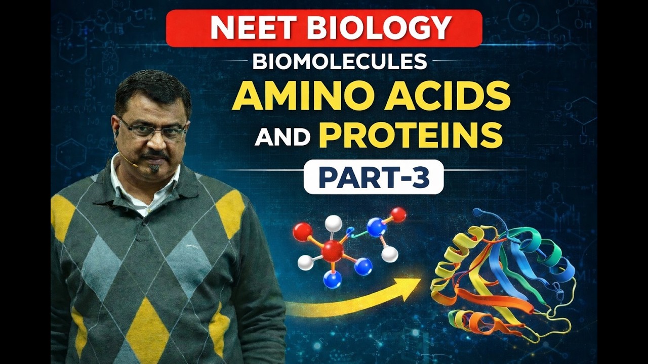 BIOMOLECULES PART 3 AMINO ACIDS AND PROTEINS