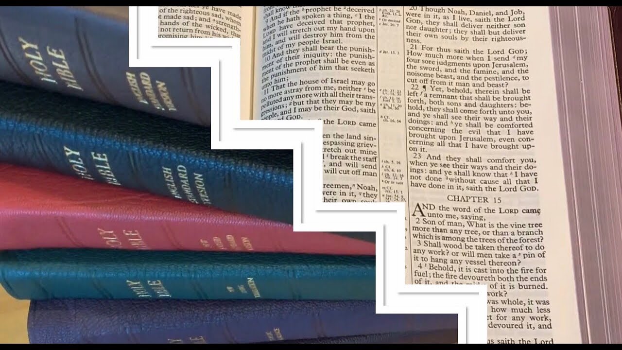 Purple RL Allan KJV Longprimer w/Cyclopedic Concordance&mdash;A Long Look