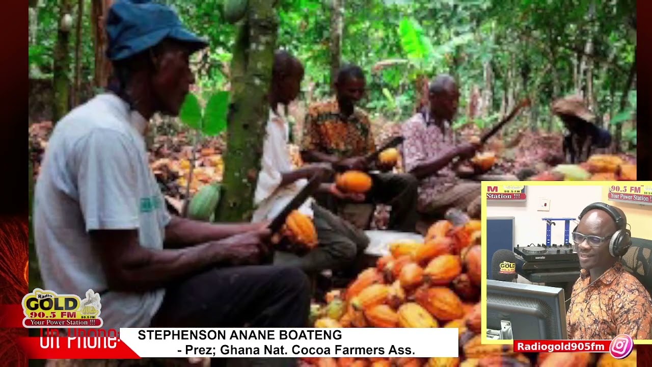 WE WELCOME REDUCTION PAY CUTS AT COCOBOD - PRES, COCOA FARMERS ASS, STEPHENSON ANANE BOATENG