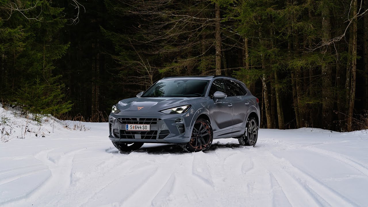 Sportlicher als gedacht / Cupra Terramar Test