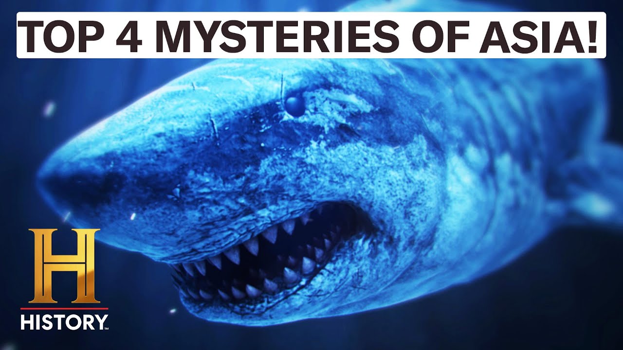 Top 4 Biggest Mysteries of Asia | The Proof Is Out There | History