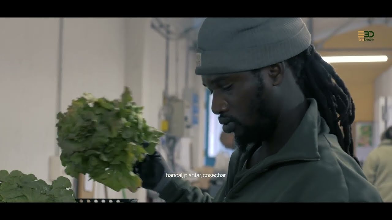 CULTIVAR OPORTUNIDADES:  UN VÍDEO QUE SIEMBRA FUTURO