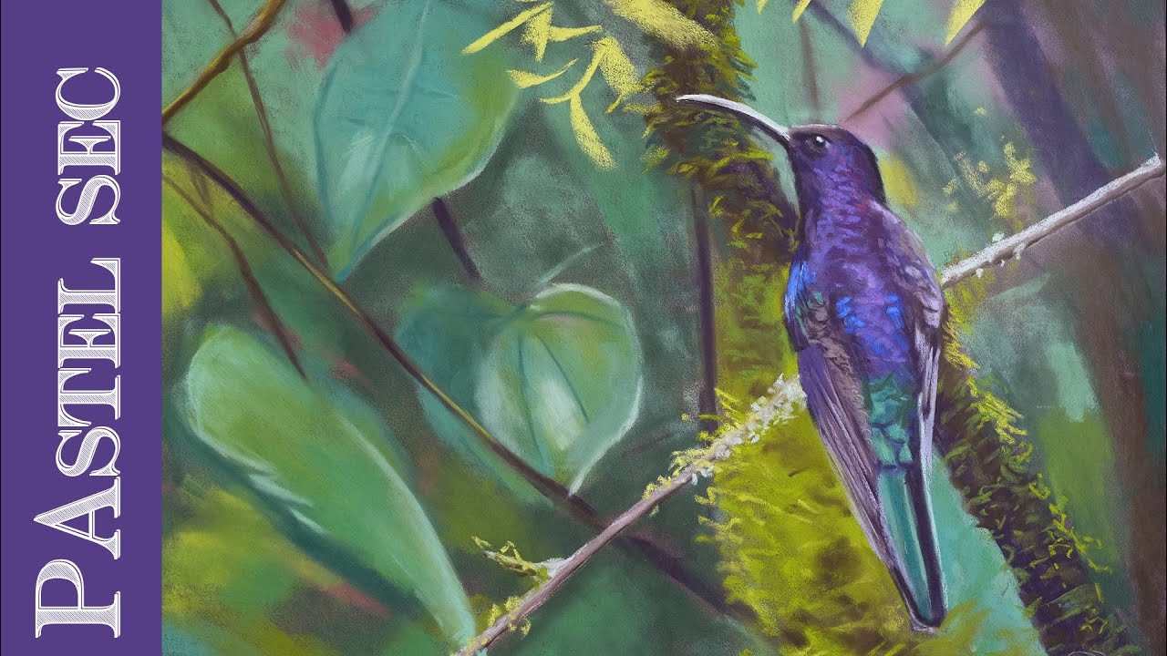 Oiseau au pastel sec [Colibri]