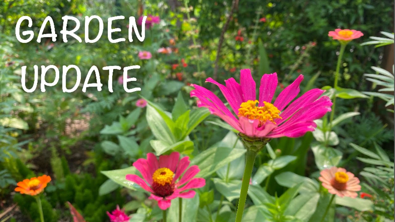 Late Spring Garden Update Tour