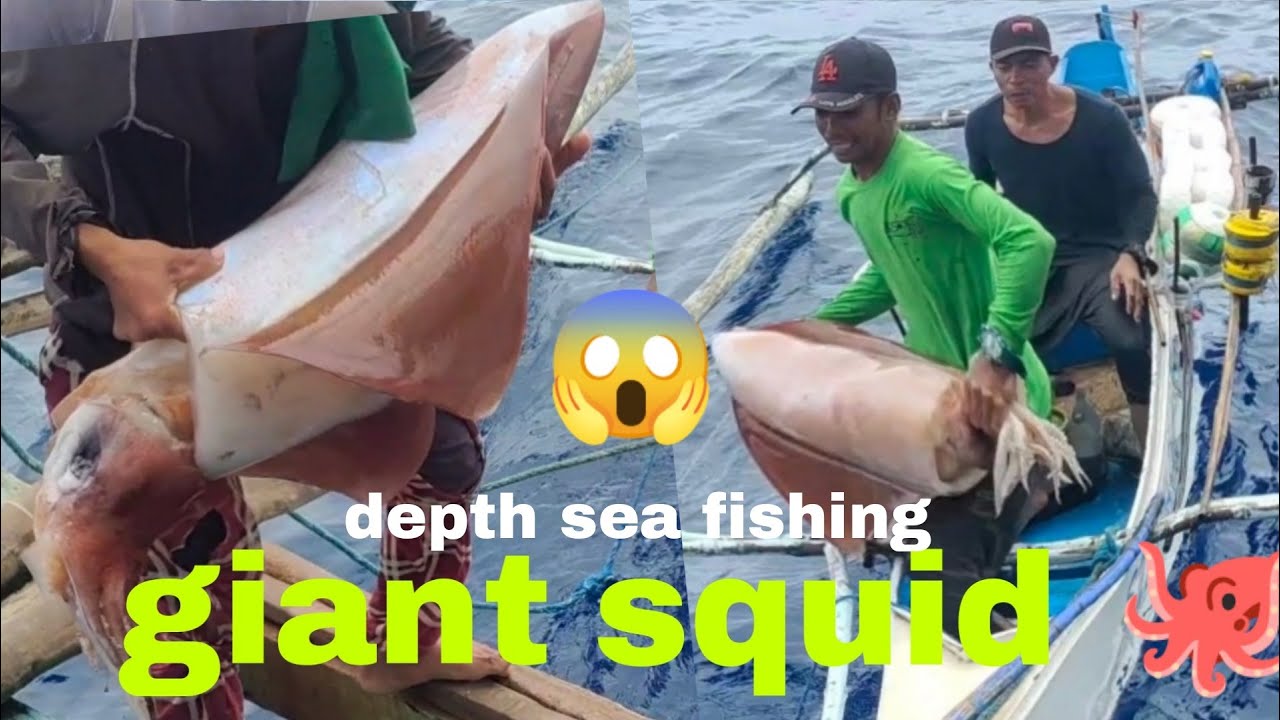 GIANT SQUID 🐙 | DEPTH SEA FISHING 🎣 IN SULU SEA