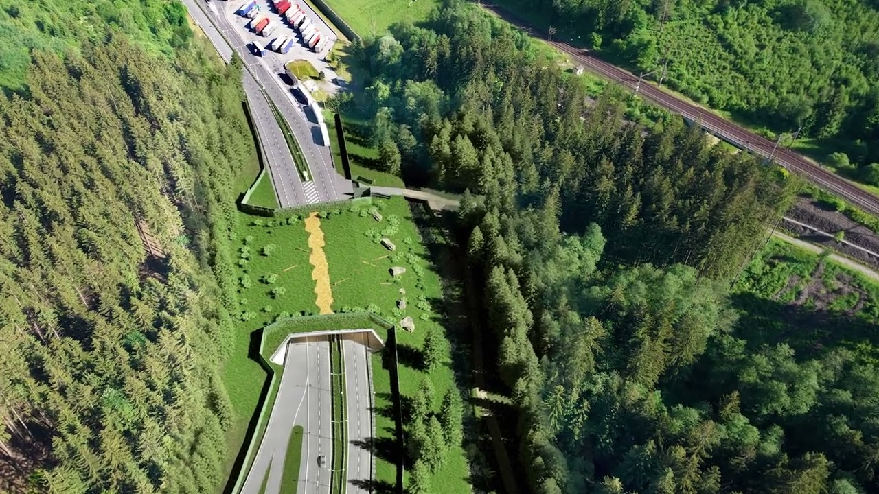 ŘSD ČR - I/11 Mosty u Jablunkova, ekodukt – vizualizace stavby