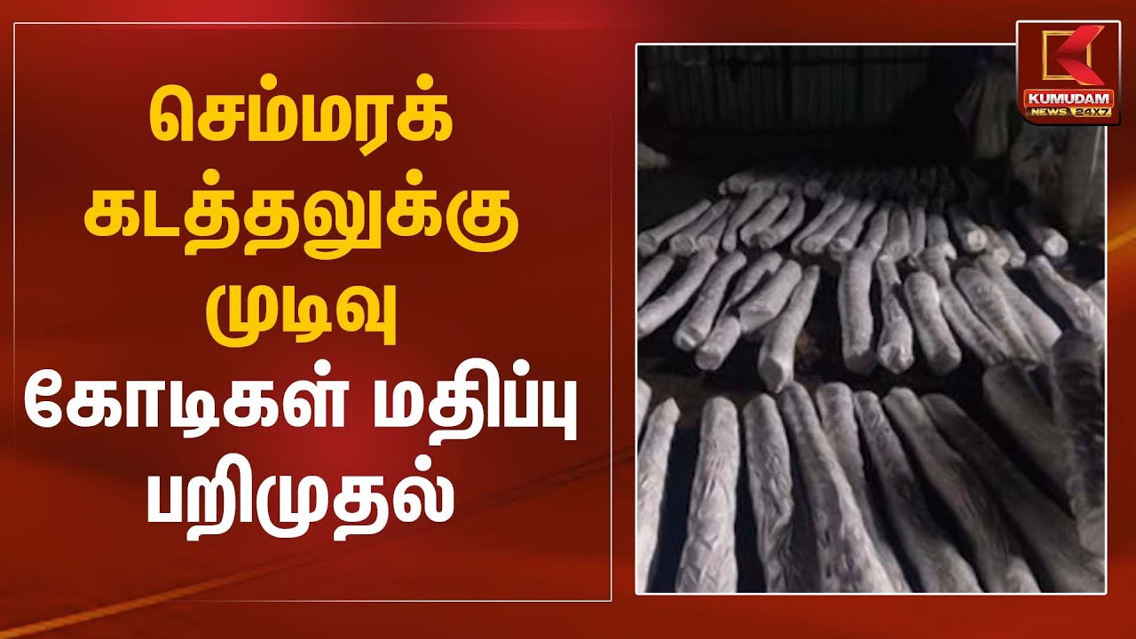 Red Sandalwood Smuggling | செம்மரக் கடத்தலுக்கு முடிவு &ndash; கோடிகள் மதிப்பு பறிமுதல் | Kumudam News