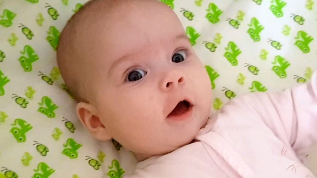 Сборник «Реакция ребенка» (2–9 месяцев) [baby MILU]