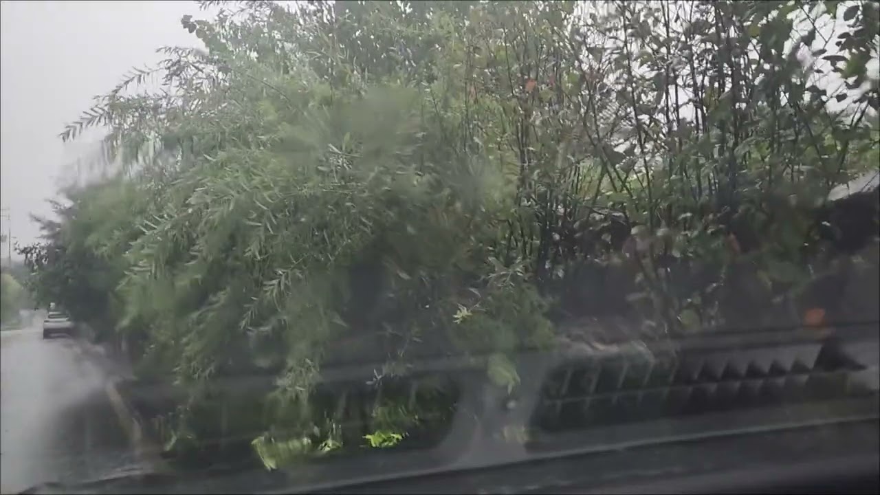 Filmed Inside the Car Peaceful Rain Sounds and Atmosphere