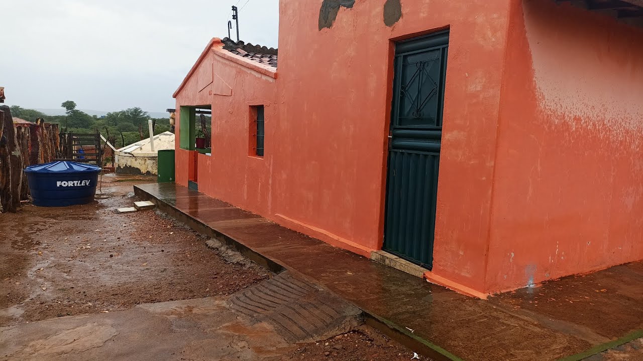 Tarde com chuva 🌧️🙏/ Sítio Mamoeiro Verdejante PE 