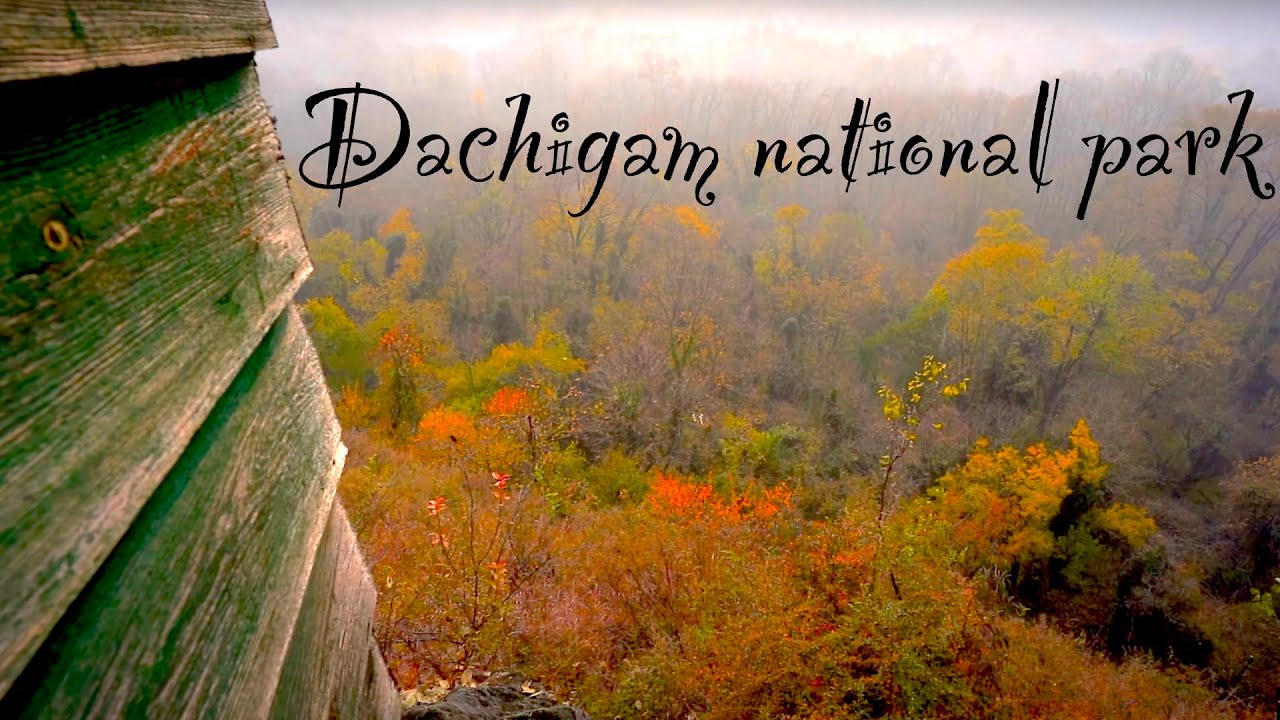 Dachigam National Park | Autumn |  informative | Places to visit near Srinagar l Kashmir | Offbeat