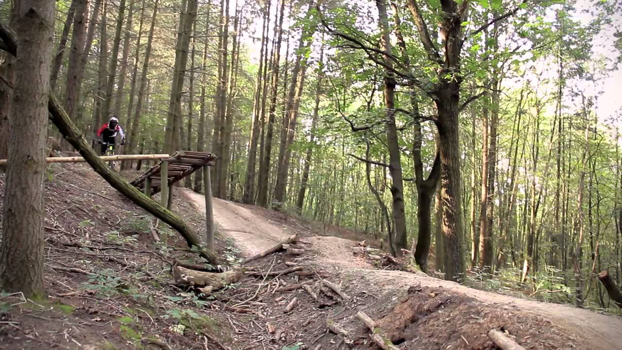 Kamil Tatarkovic - autumn riding