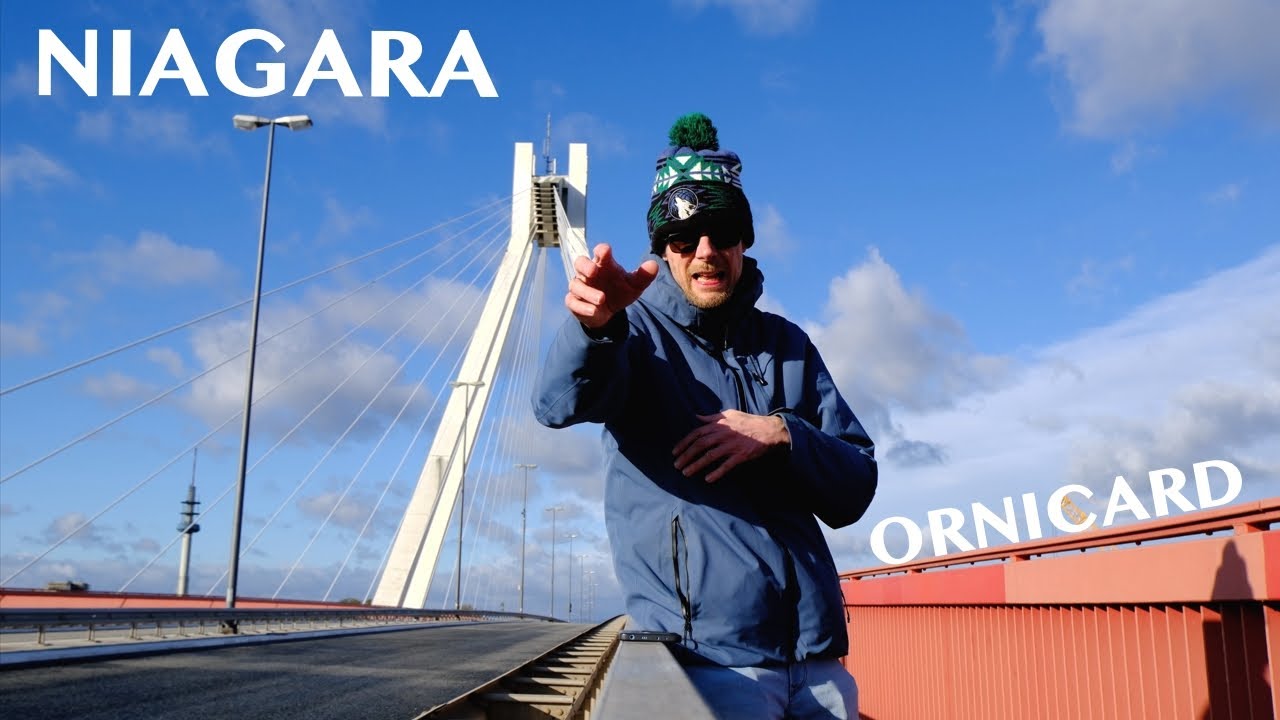 ORNICARD - Niagara (