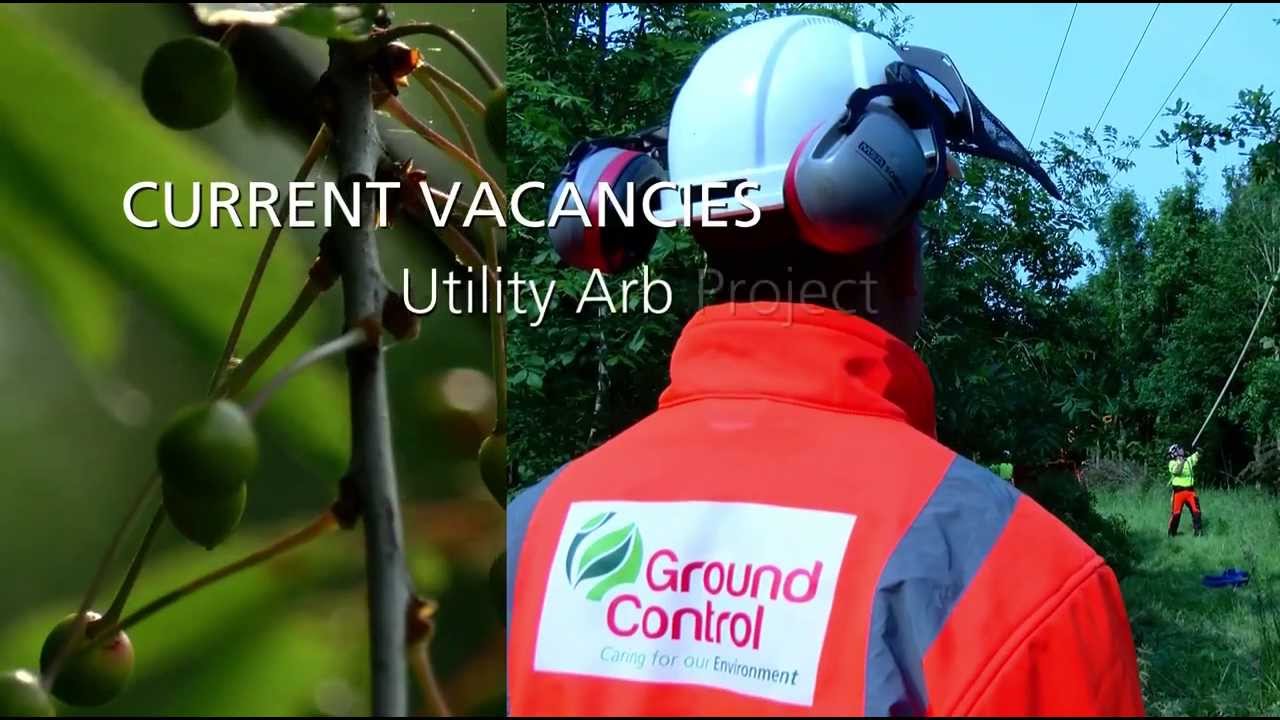 Climb Higher With Ground Control - Great Careers in Arboriculture