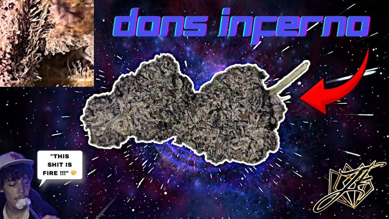 JK DONS INFERNO