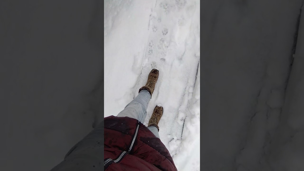 29 ian 2o26 ❄️ 🇩🇪 ❄️
