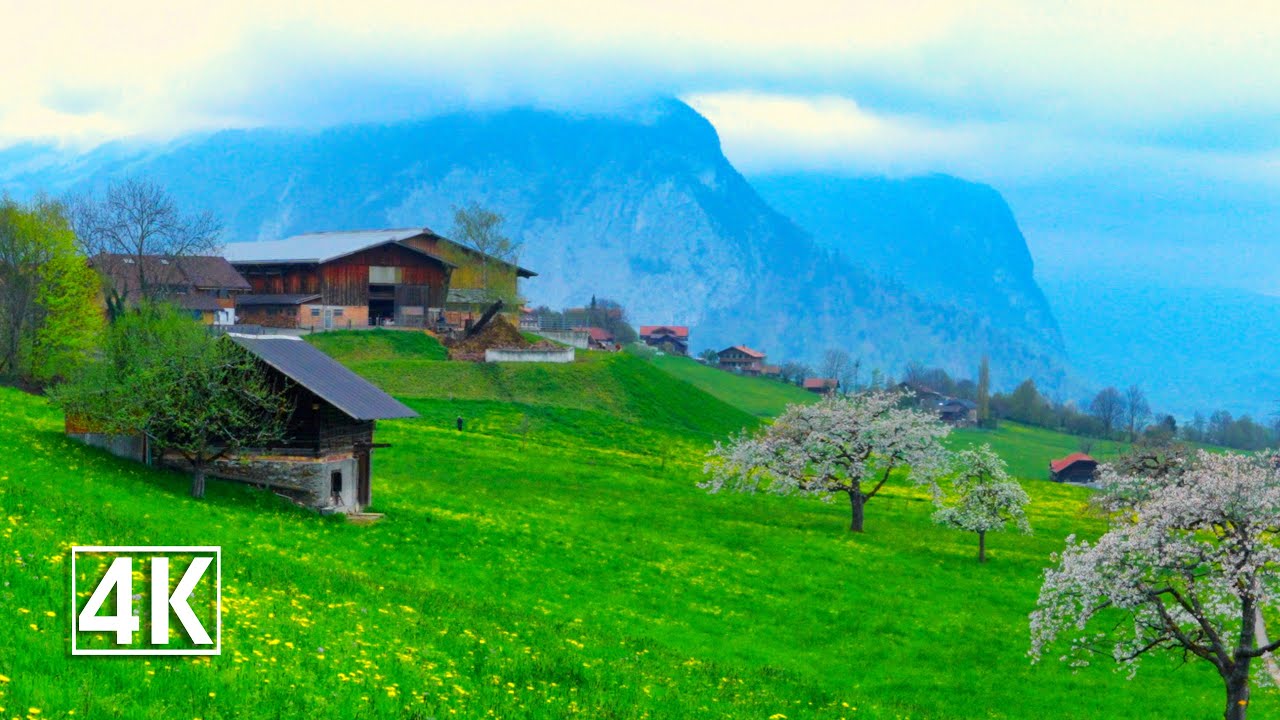 Switzerland 🇨🇭Aeschi bei Spiez, a beautiful spring day in Switzerland