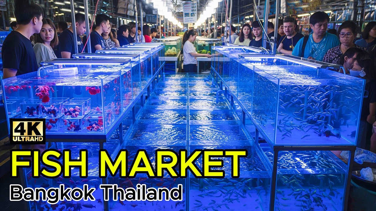 The LARGEST Fish Market in Thailand! | Chatuchak Bangkok
