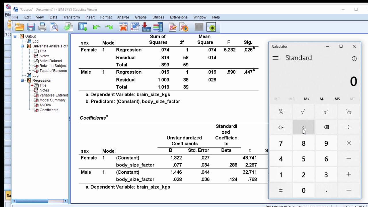 V15.6 - Standardized Beta Weights Across Groups