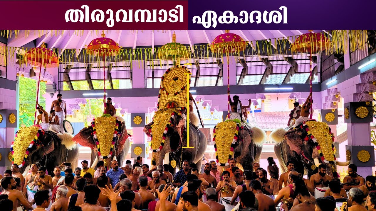 Thiruvambadi ekadasi 2025|30-12-2025