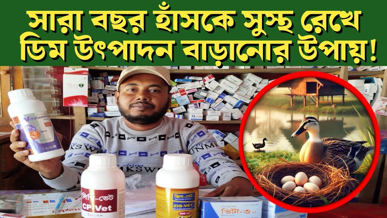 হাঁসের ডিম উৎপাদন বৃদ্ধি||হাঁস সারা বছর সুস্থ রাখার উপায়||J Krishi Tv
