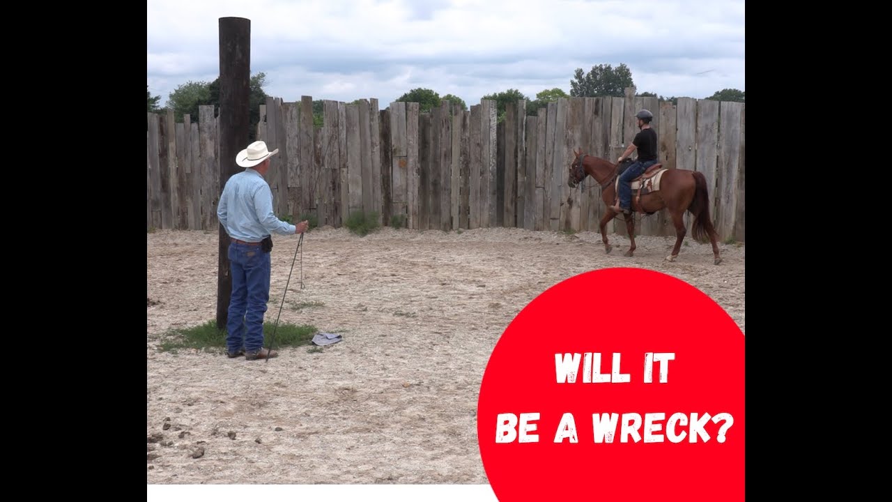 Green Horse, Green Rider. Can It Work? (Episode 175) - Herm Gailey:  A Lifetime with Horses