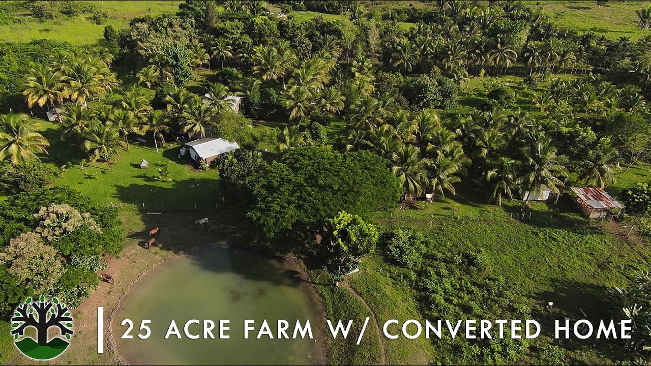 25 Acre Farm with Converted Home | Self-Sustainable + Move-in Ready