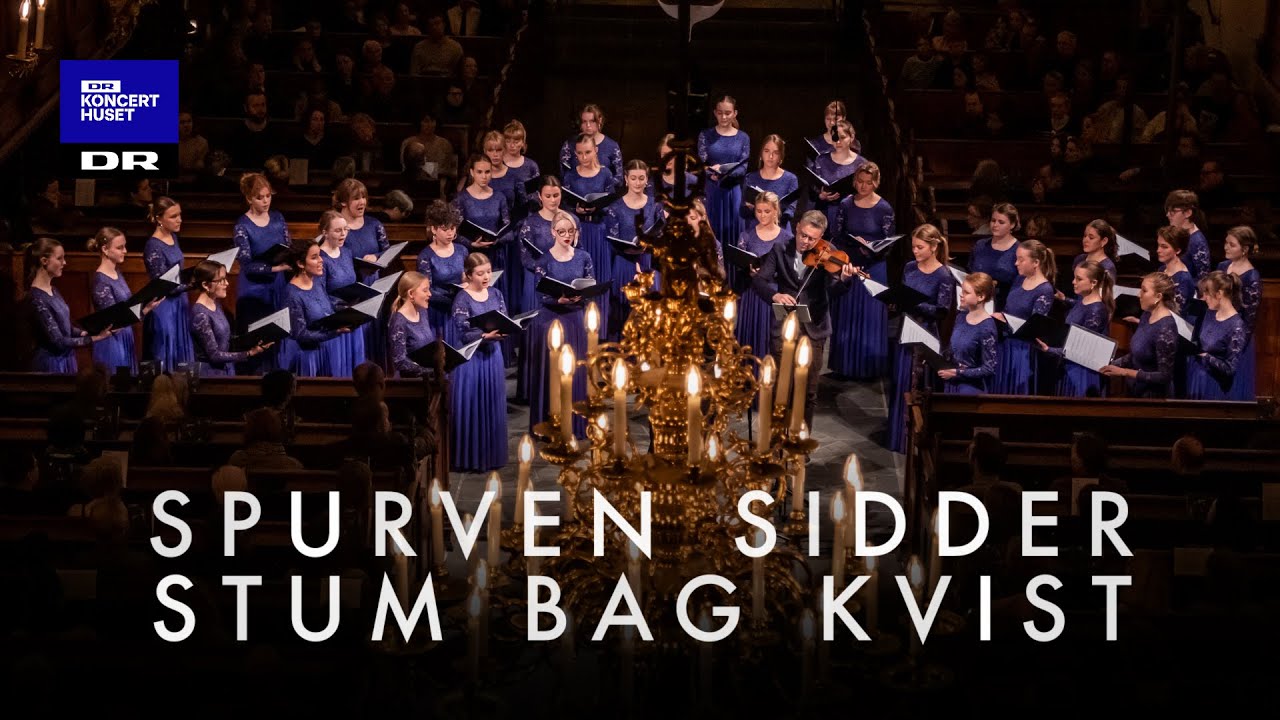 Spurven sidder stum bag kvist // DR Pigekoret (LIVE)