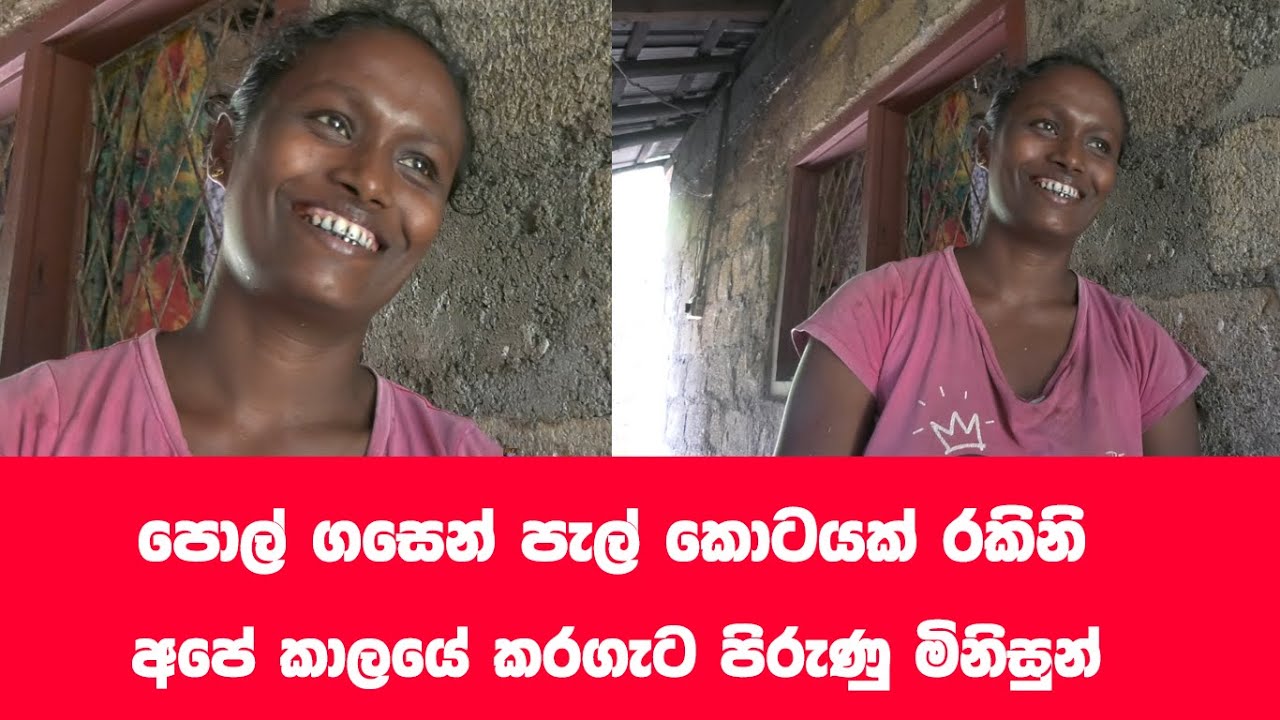පොල් ගහේ ජිවත්වන අසරණ පවුල