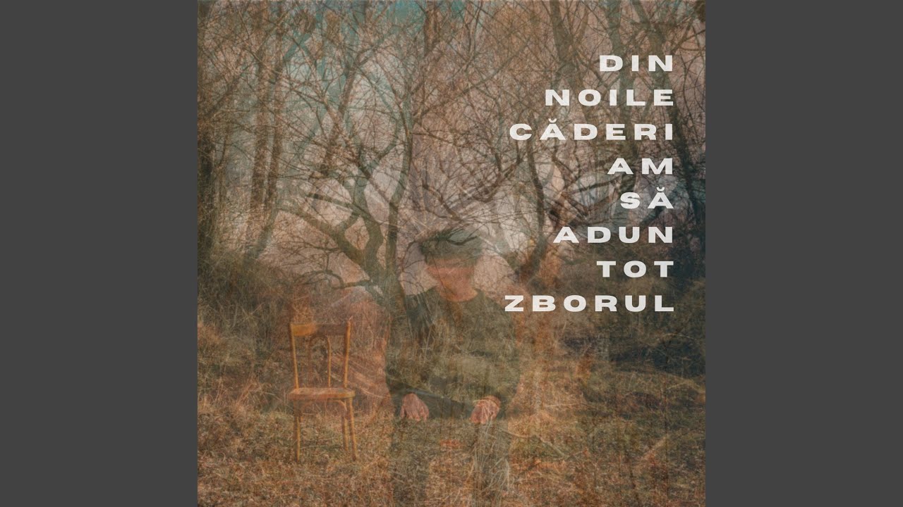 Vom răm&acirc;ne aici