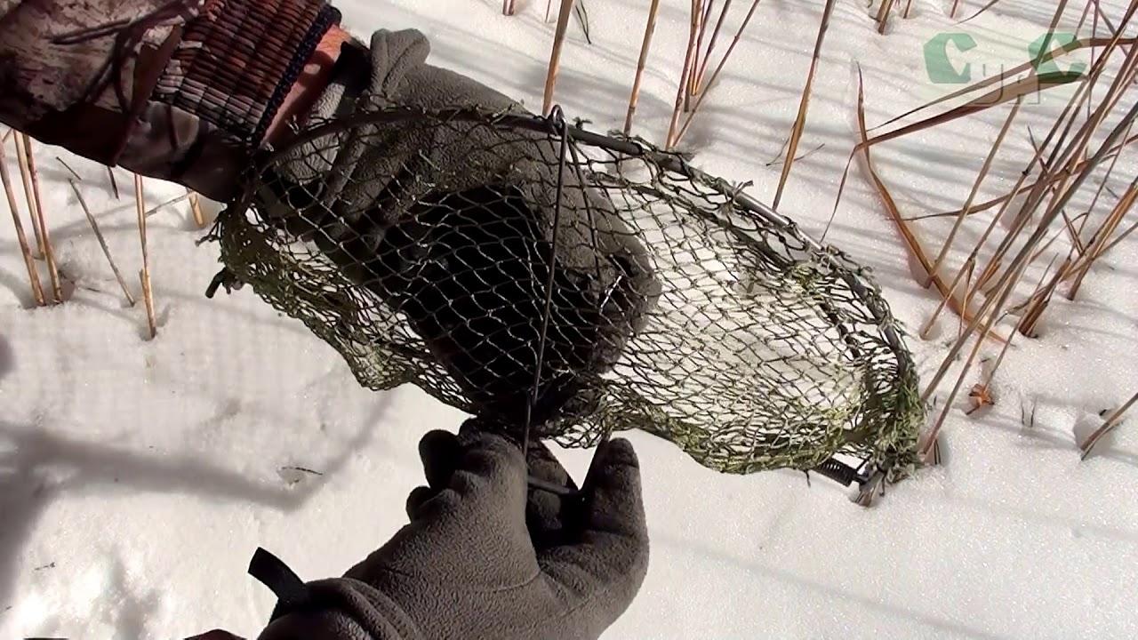 Ловушка для певчих птиц (Лучок) от СУАС