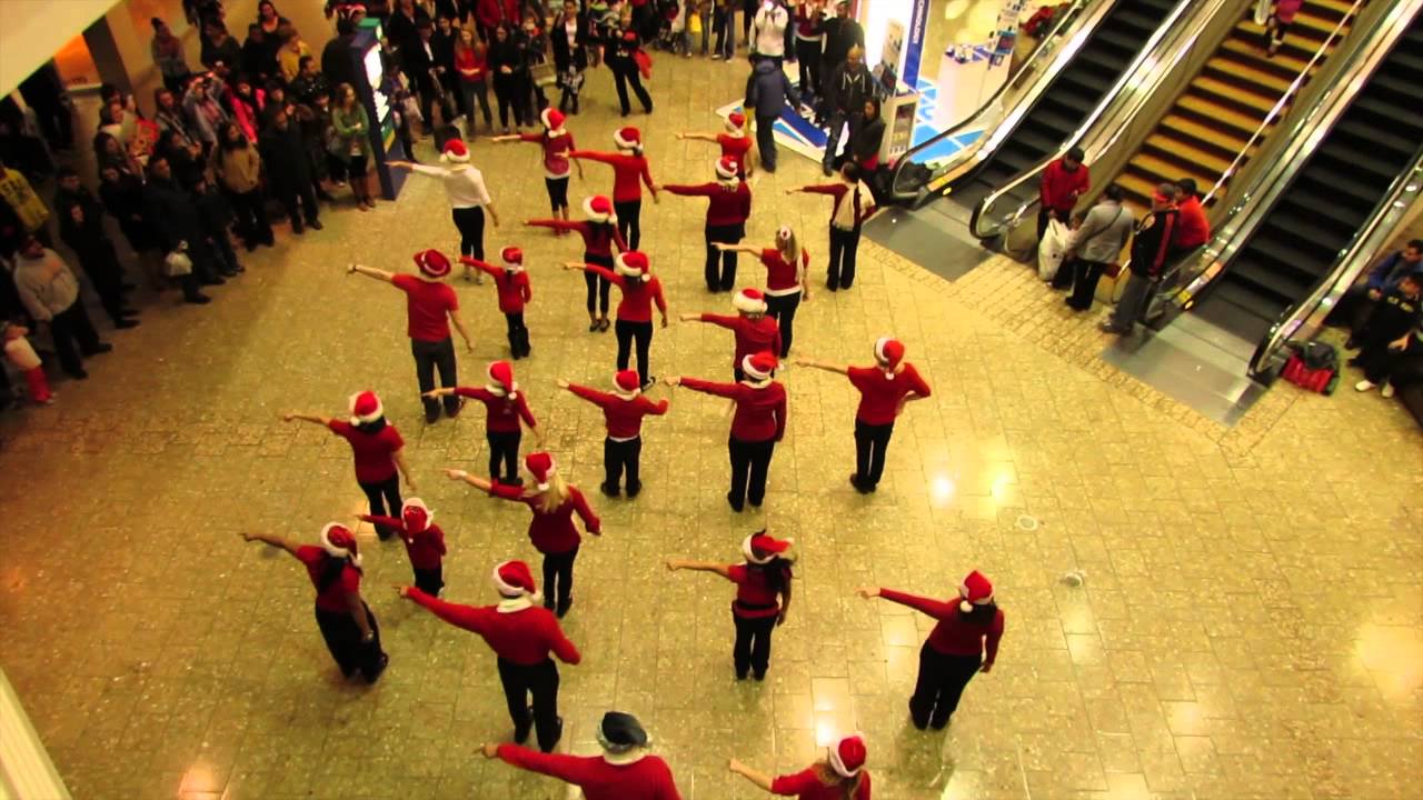 Flash Mob Best Proposal @ Woodfield Mall - Annalisa & Guy