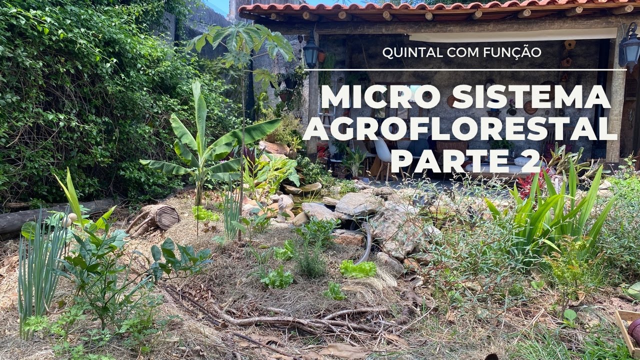 Como criei meu “micro Sistema Agro Florestal” PARTE 2