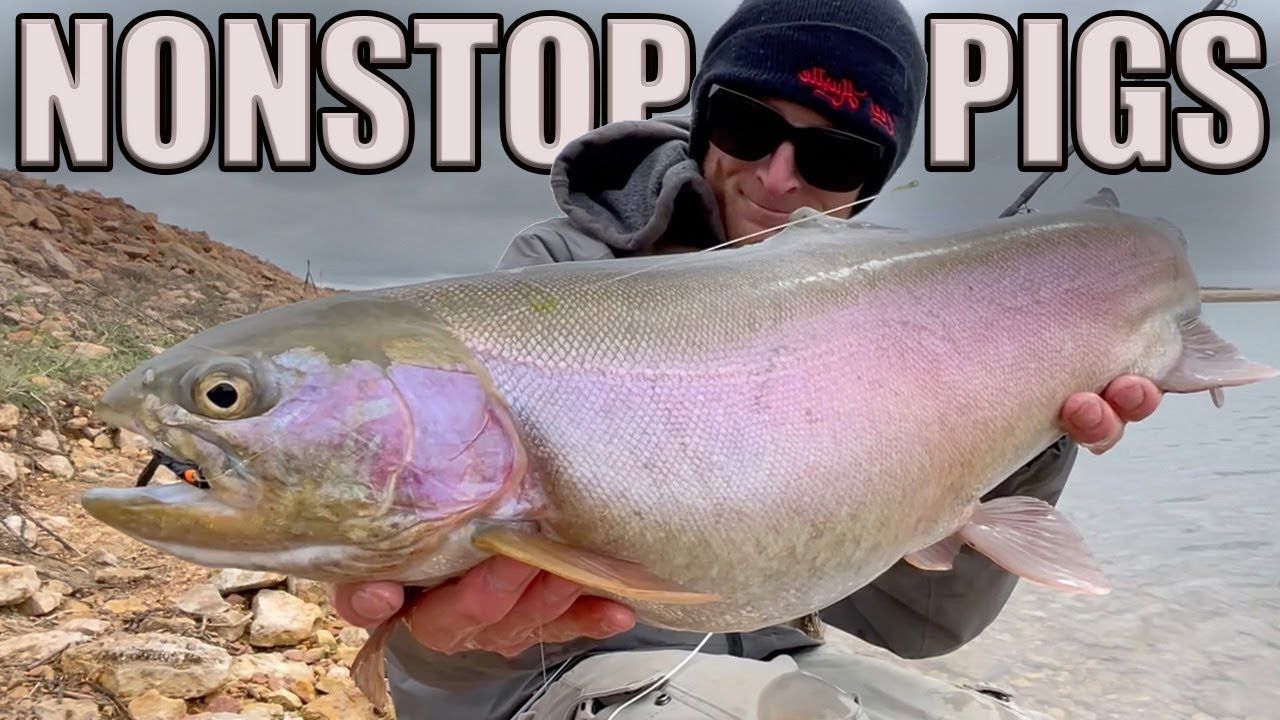 NONSTOP SLAYFEST - Fly Fishing for MONSTER TROUT | See it To Believe it!